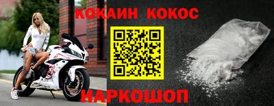 крисы Можга