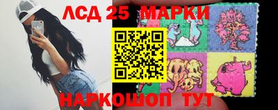 крисы Можга