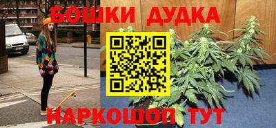 крисы Можга