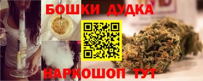 крисы Можга