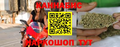 крисы Можга