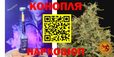 крисы Можга