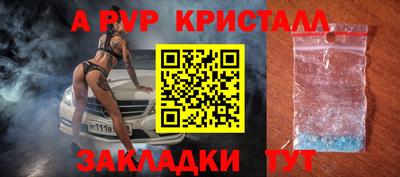 крисы Можга