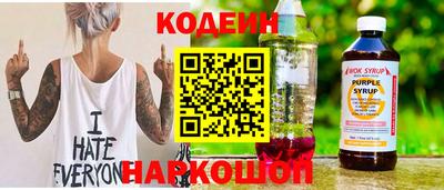 крисы Можга